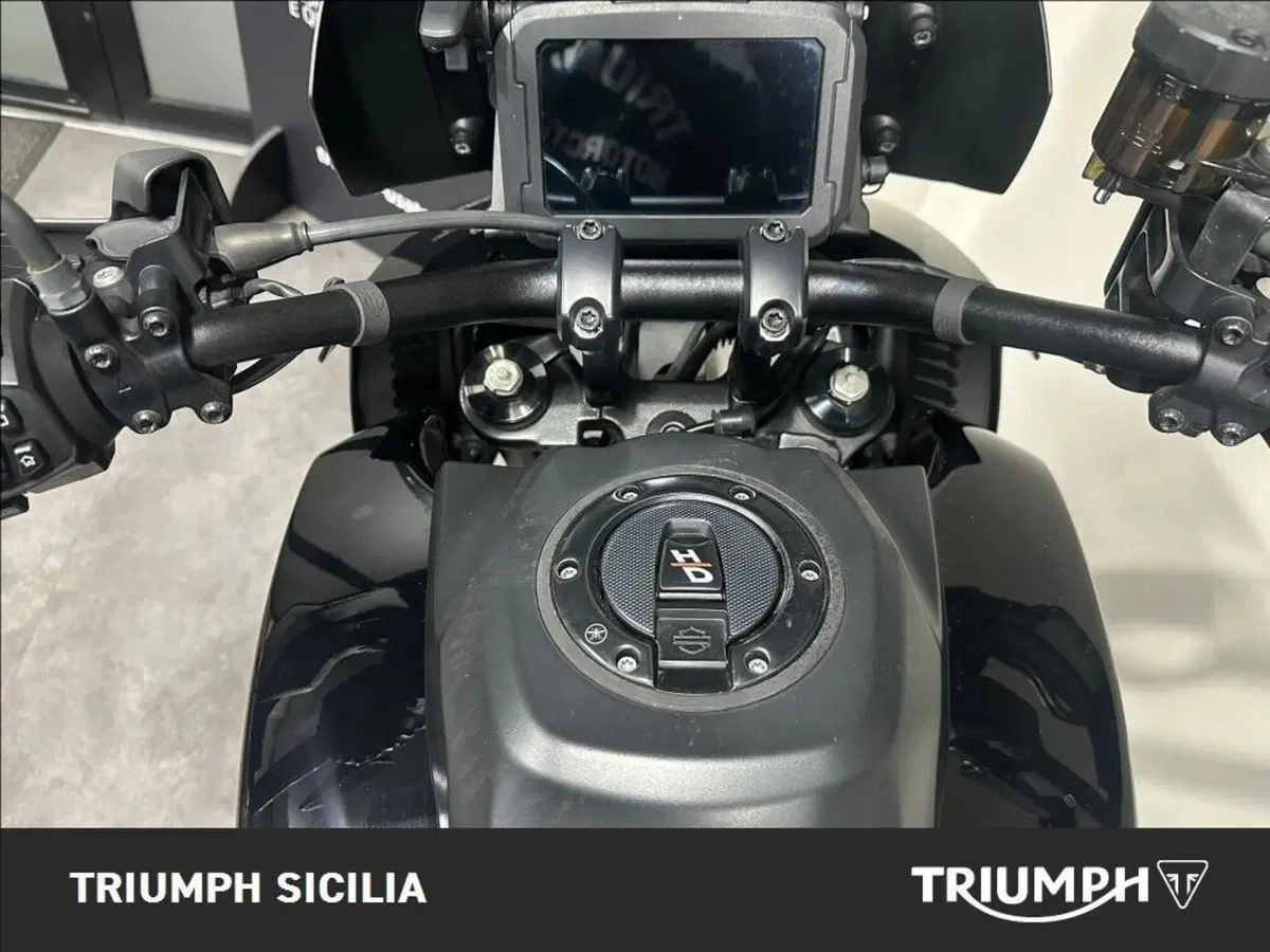 Harley-Davidson Pan America 1250 Special (2020 - 25) (11)