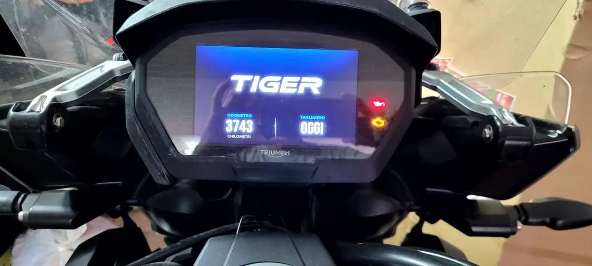 Triumph Tiger 1200 Desert Edition (2020) (6)