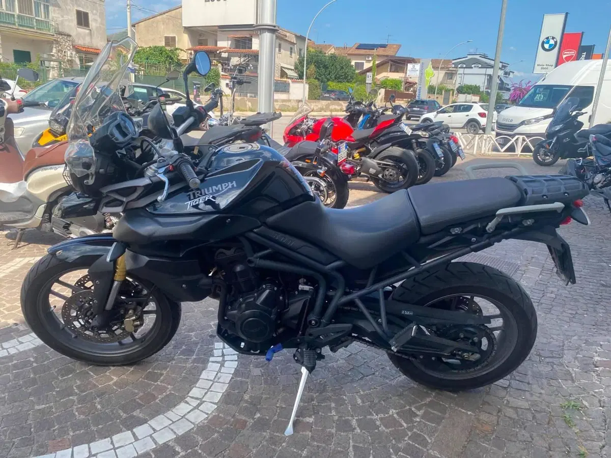 Triumph Tiger 800 (2010 - 14) (2)
