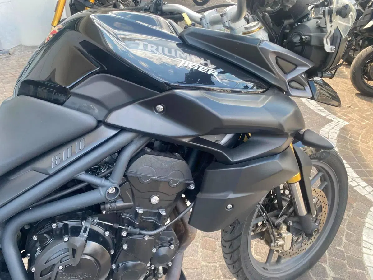 Triumph Tiger 800 (2010 - 14) (5)