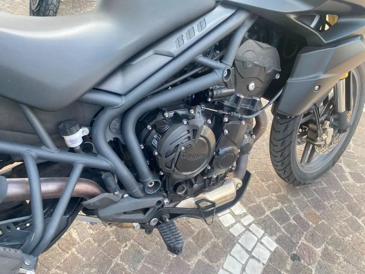 Triumph Tiger 800 (2010 - 14) (6)
