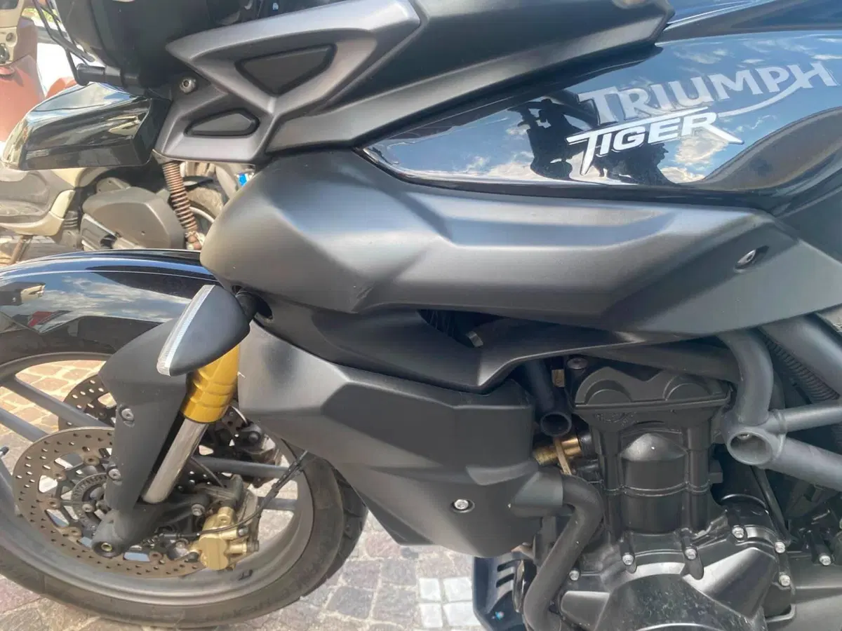 Triumph Tiger 800 (2010 - 14) (8)