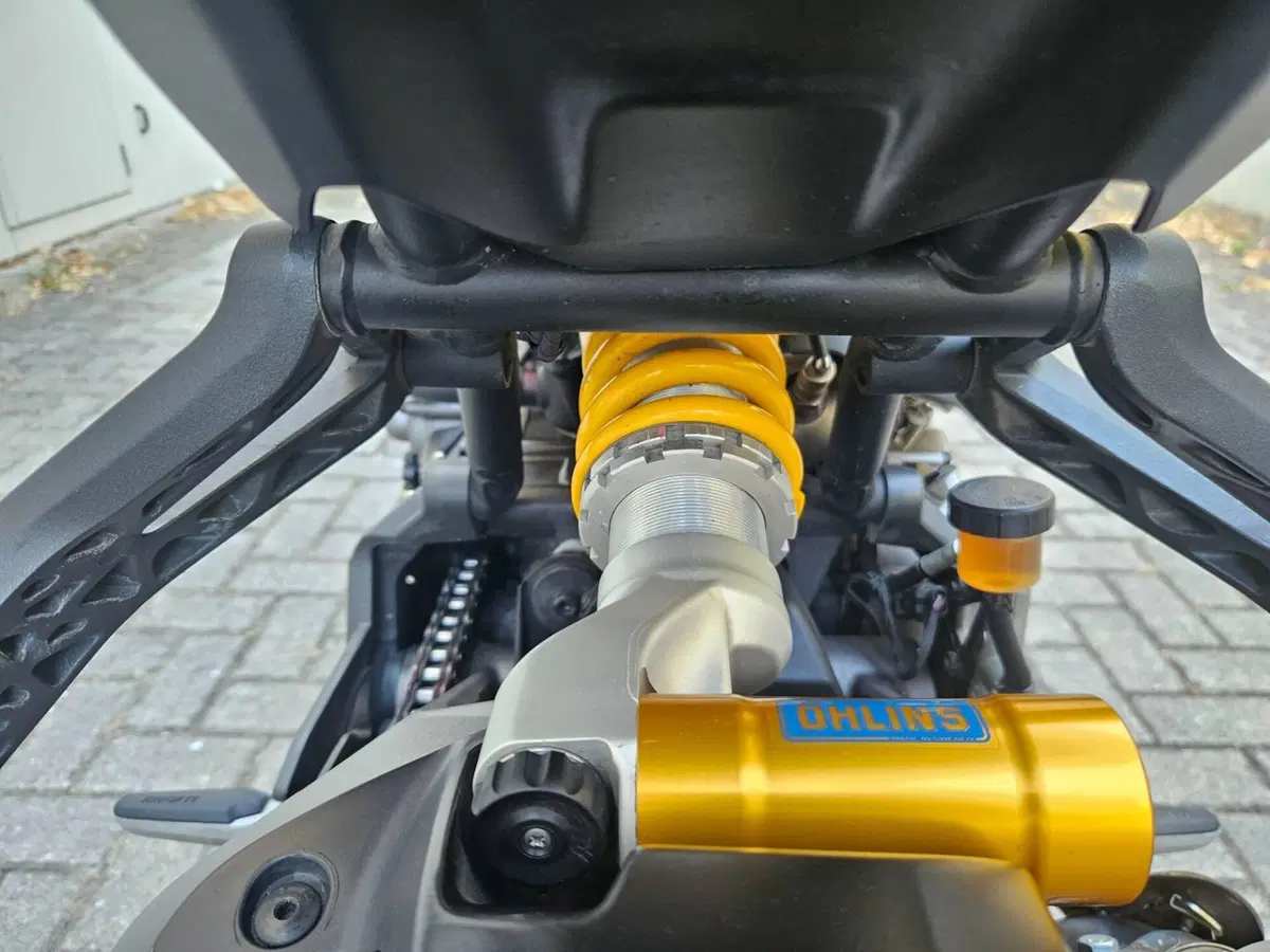 Ducati Monster 1200 S (2017 - 21) (11)