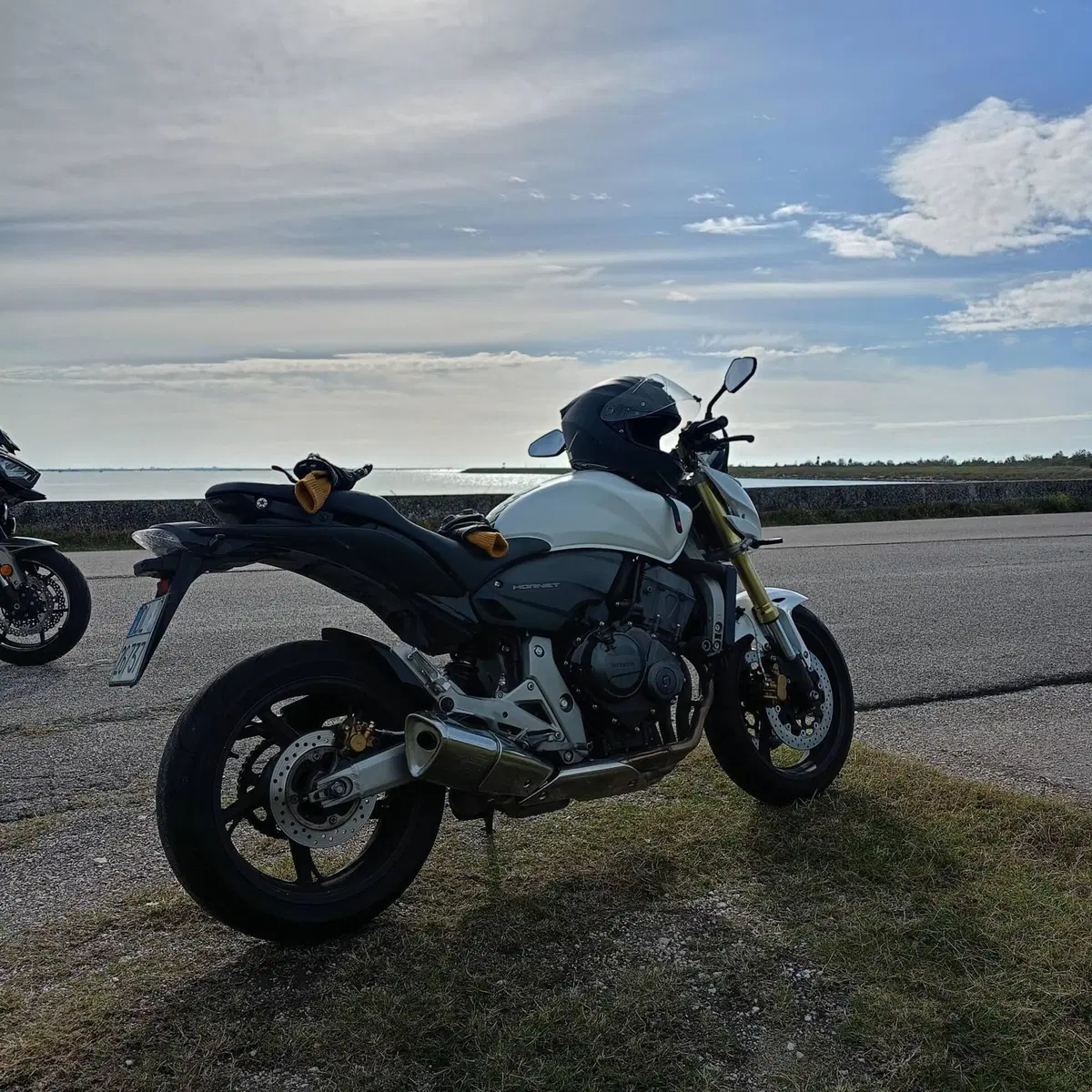 Honda Hornet 600 (2007 - 10)
