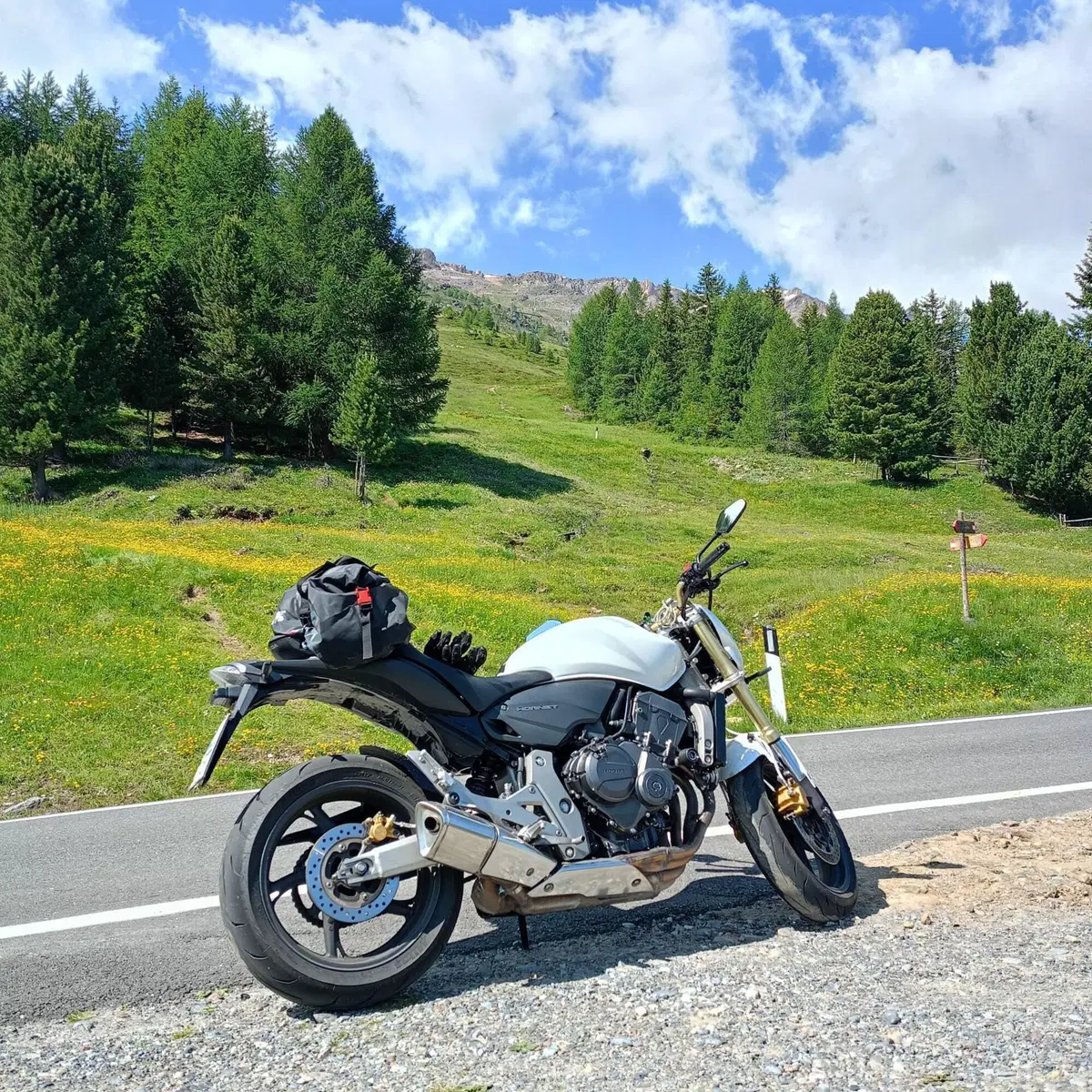 Honda Hornet 600 (2007 - 10) (2)