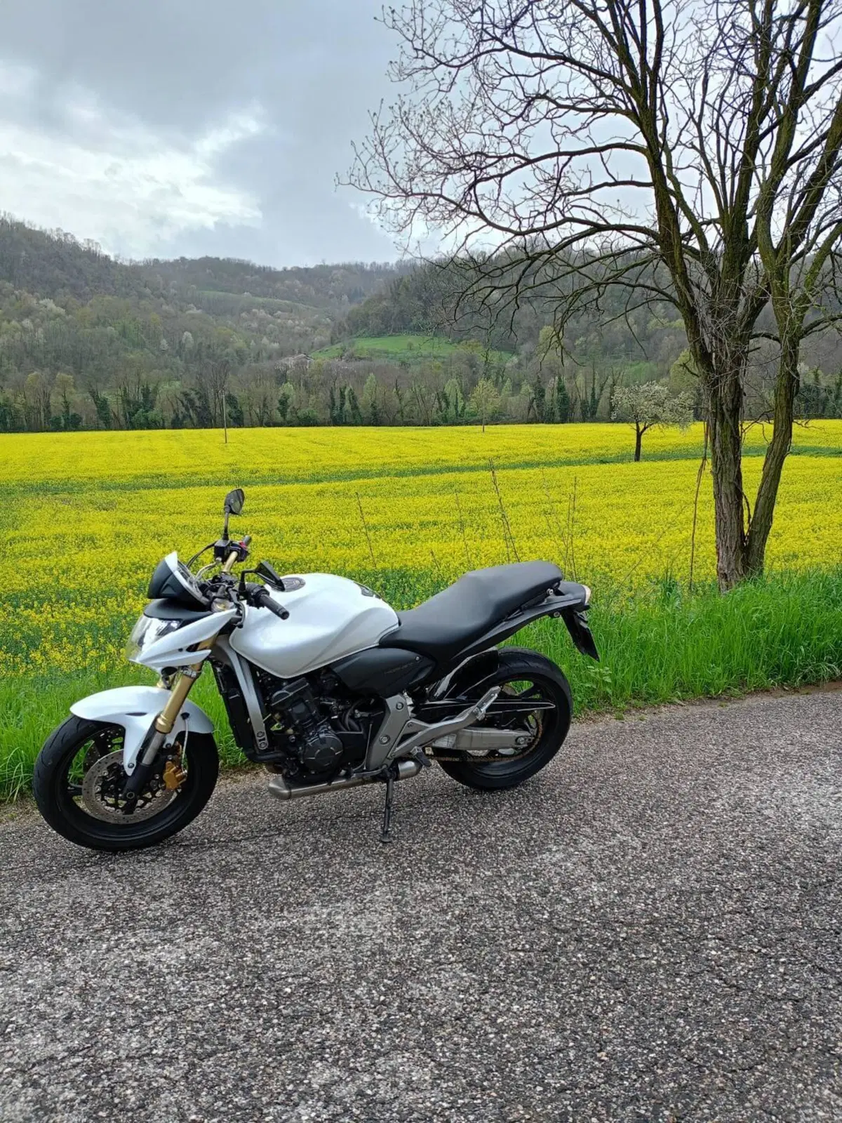 Honda Hornet 600 (2007 - 10) (3)