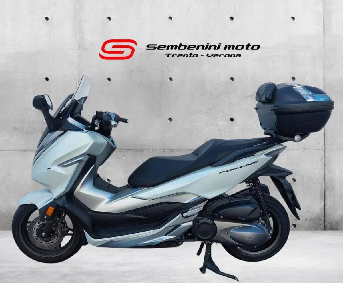 Honda Forza 300 ABS (2018 - 20) (2)