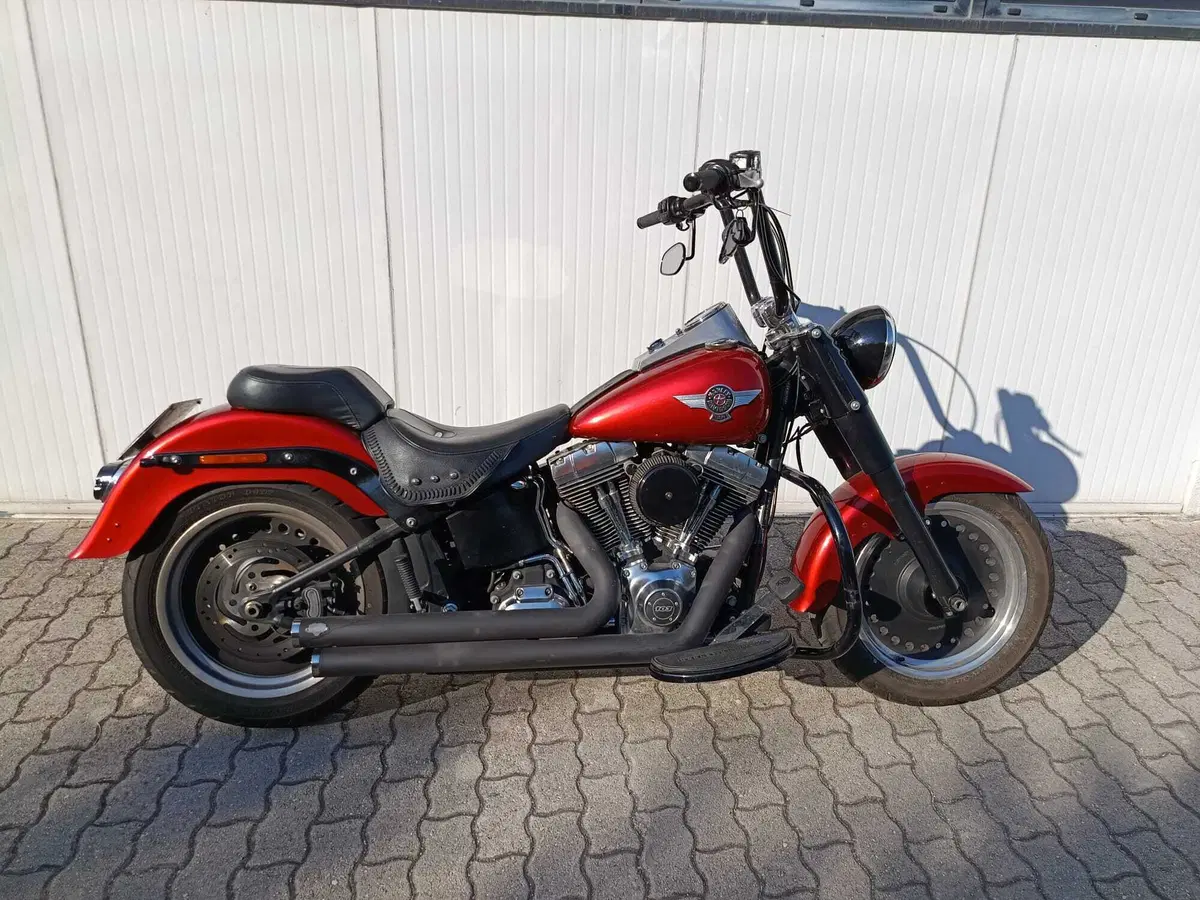 Harley-Davidson 1690 Fat Boy Special (2010 - 17) - FLSTF (3)