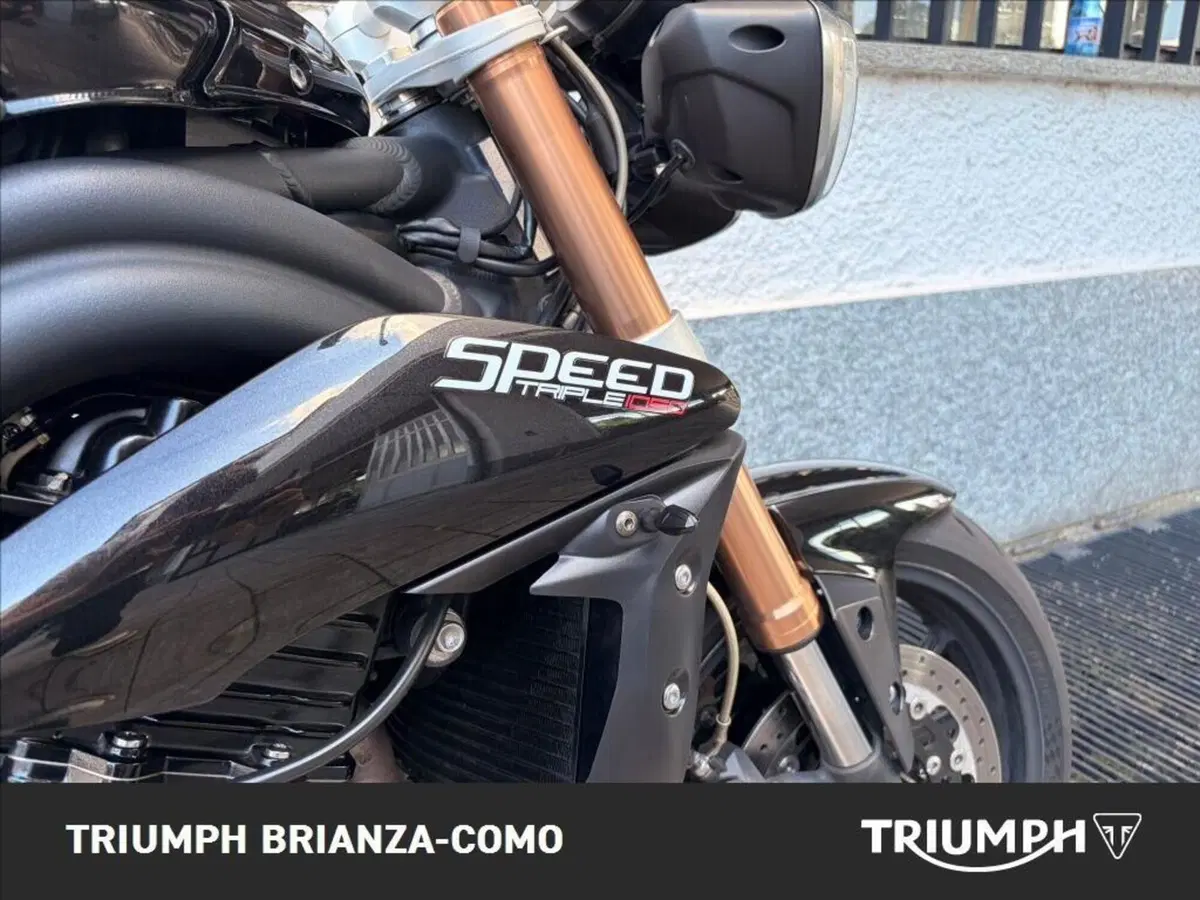 Triumph Speed Triple 1050 ABS (2011 - 15) (3)