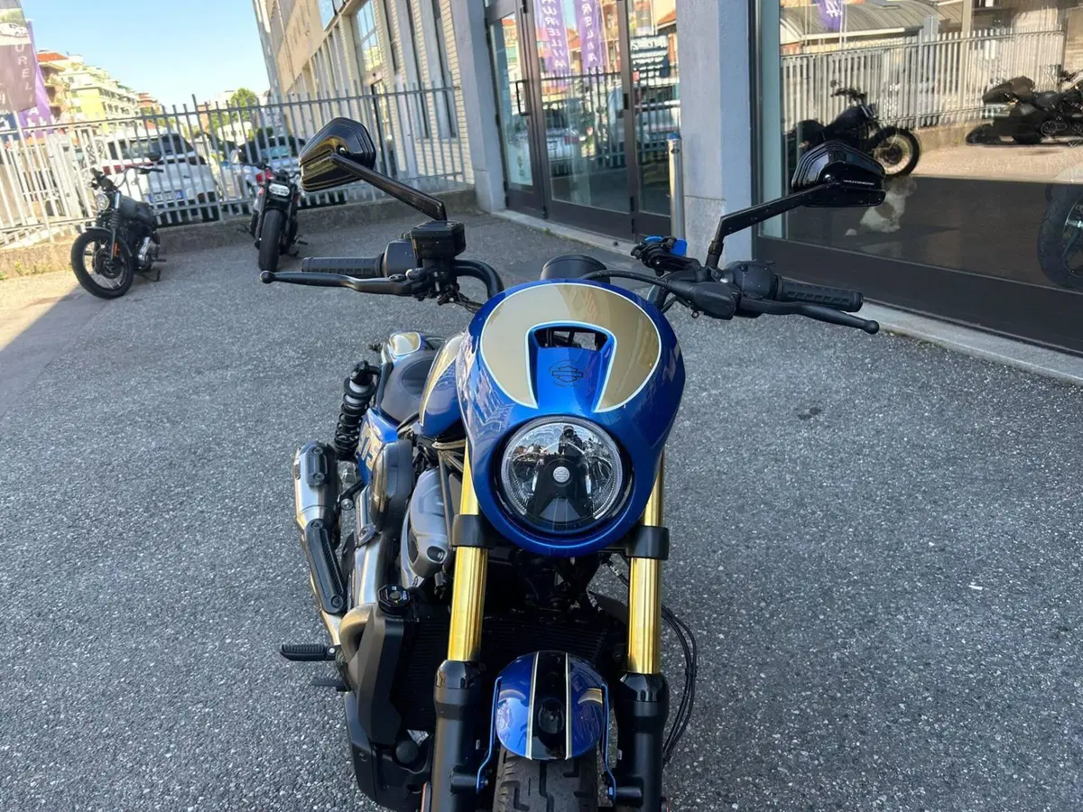 Harley-Davidson Nightster Special (2023 - 26) (7)