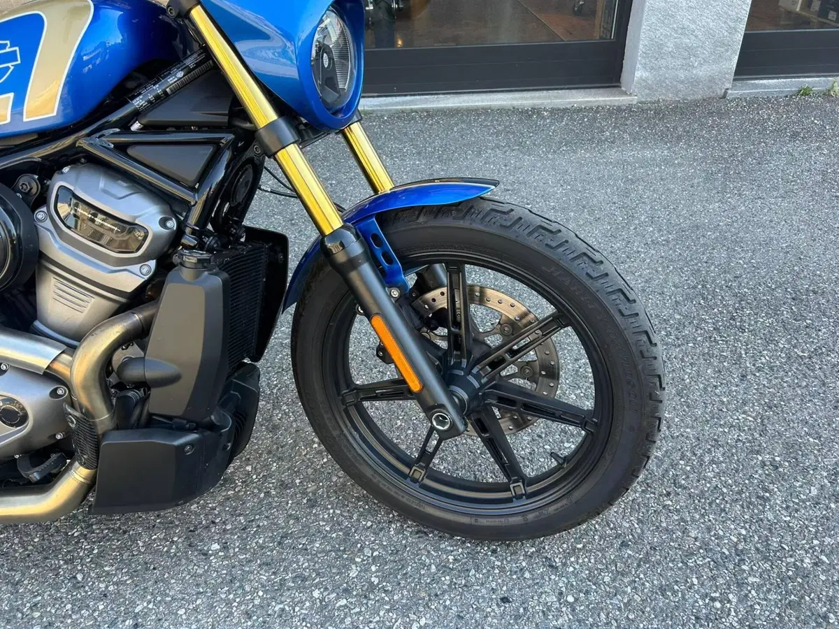 Harley-Davidson Nightster Special (2023 - 26) (8)
