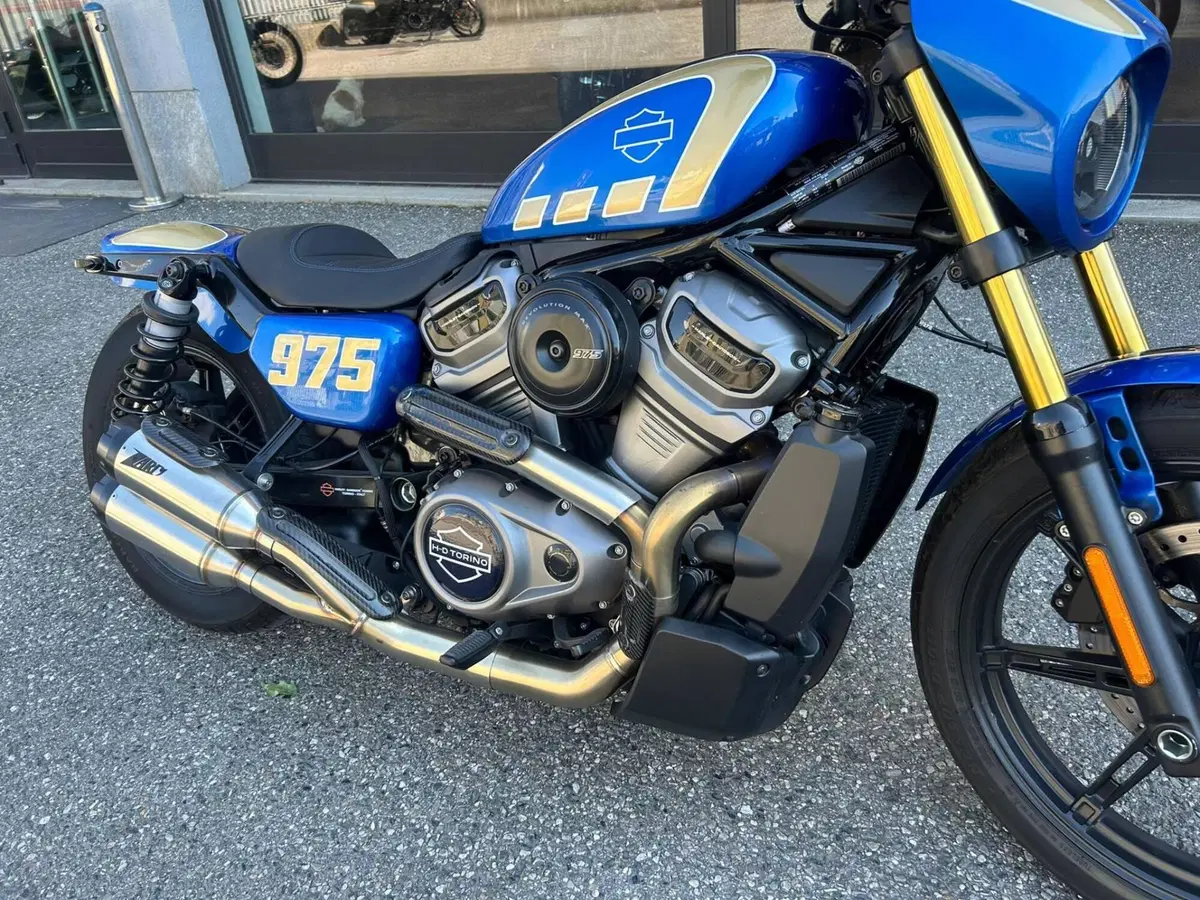 Harley-Davidson Nightster Special (2023 - 26) (9)