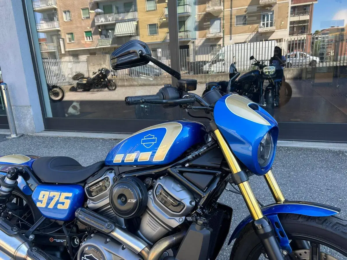 Harley-Davidson Nightster Special (2023 - 26) (10)