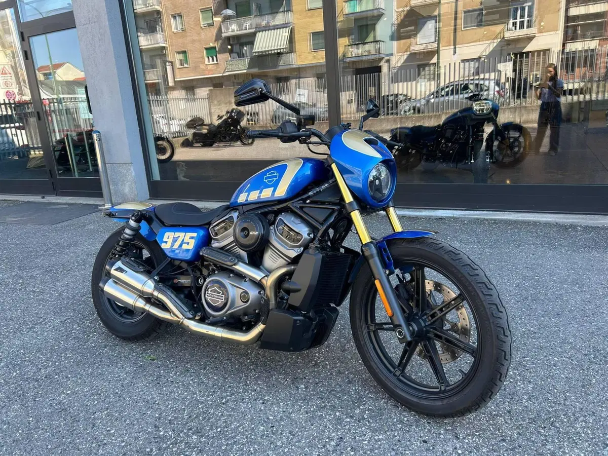 Harley-Davidson Nightster Special (2023 - 26) (11)
