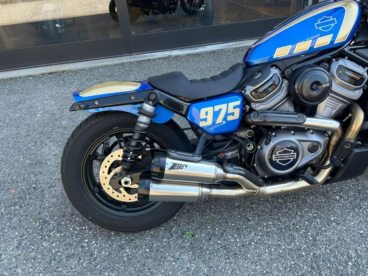 Harley-Davidson Nightster Special (2023 - 26) (12)