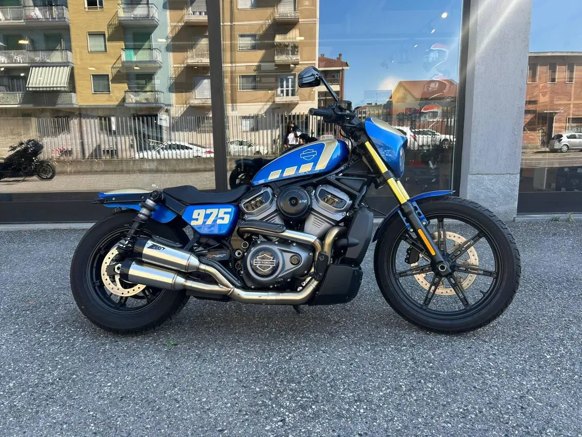 Harley-Davidson Nightster Special (2023 - 26) (13)
