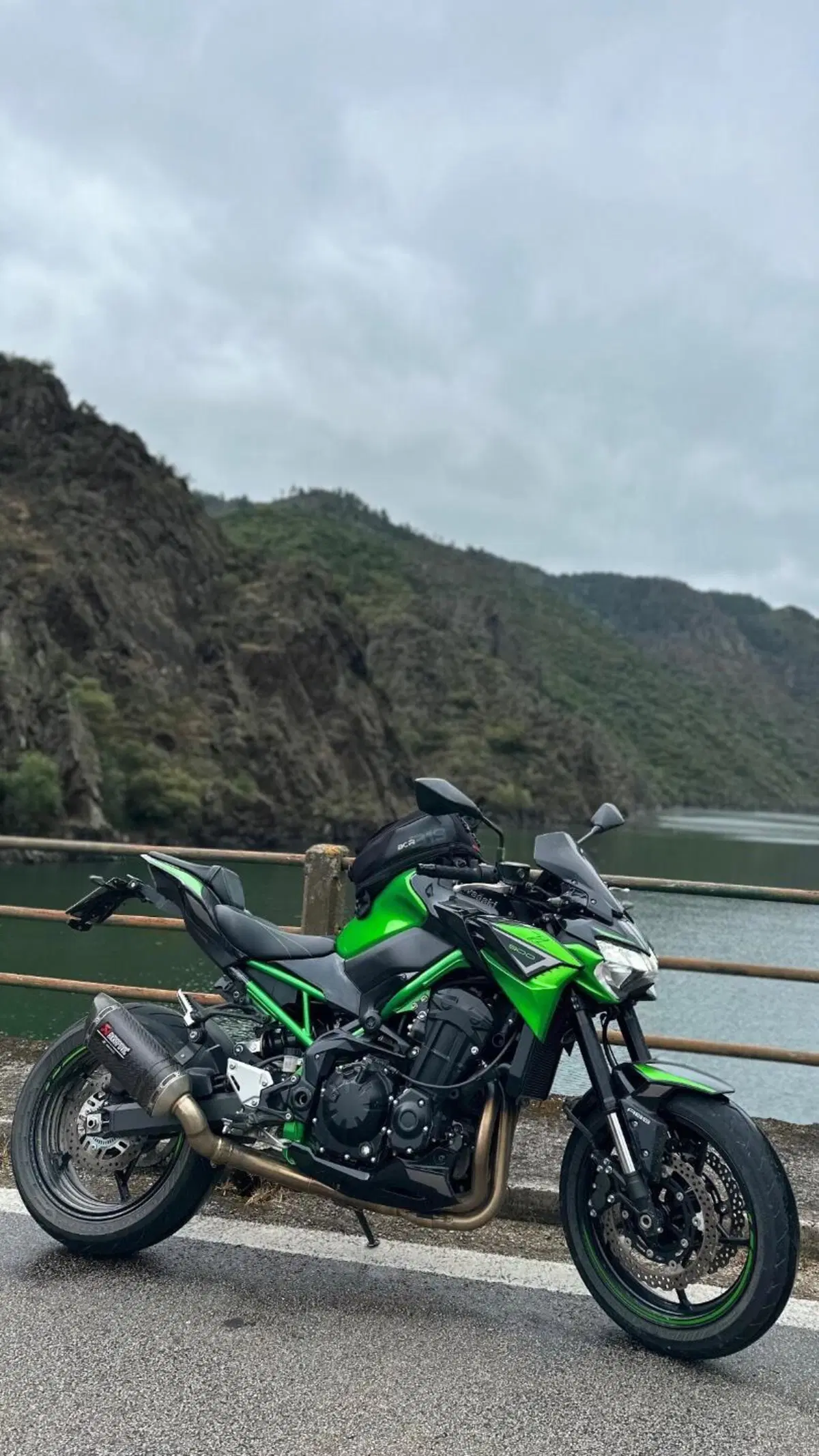 Kawasaki Z 900 A2 Performance (2021 - 24)