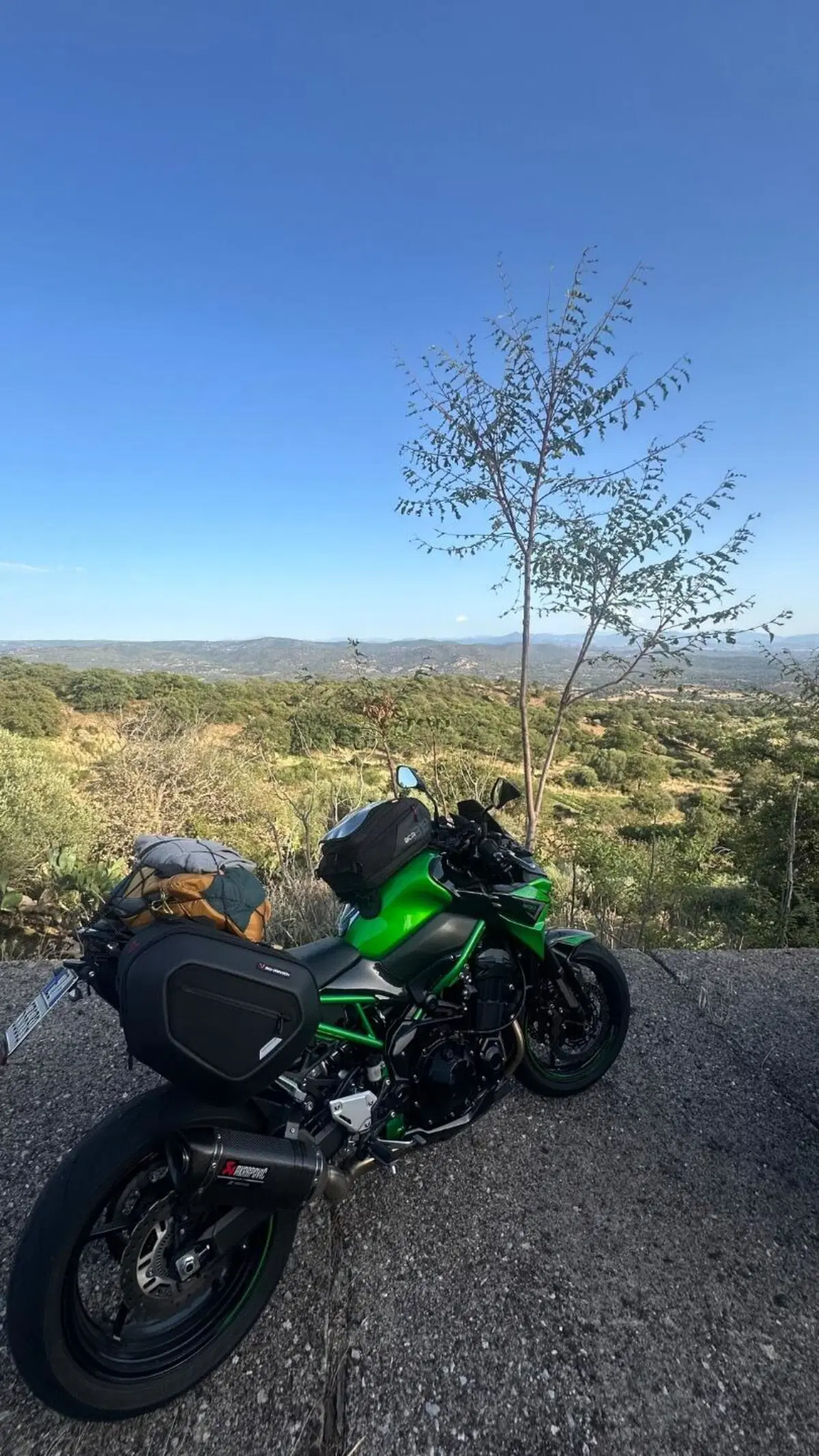 Kawasaki Z 900 A2 Performance (2021 - 24) (5)