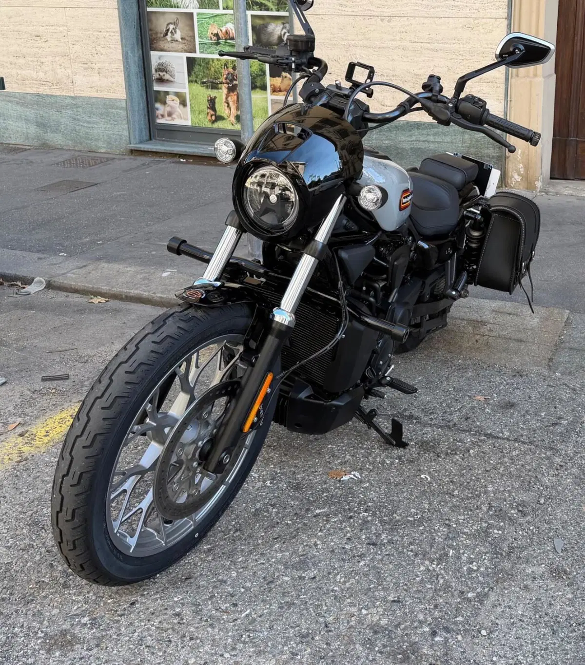 Harley-Davidson Nightster Special (2023 - 26) (3)