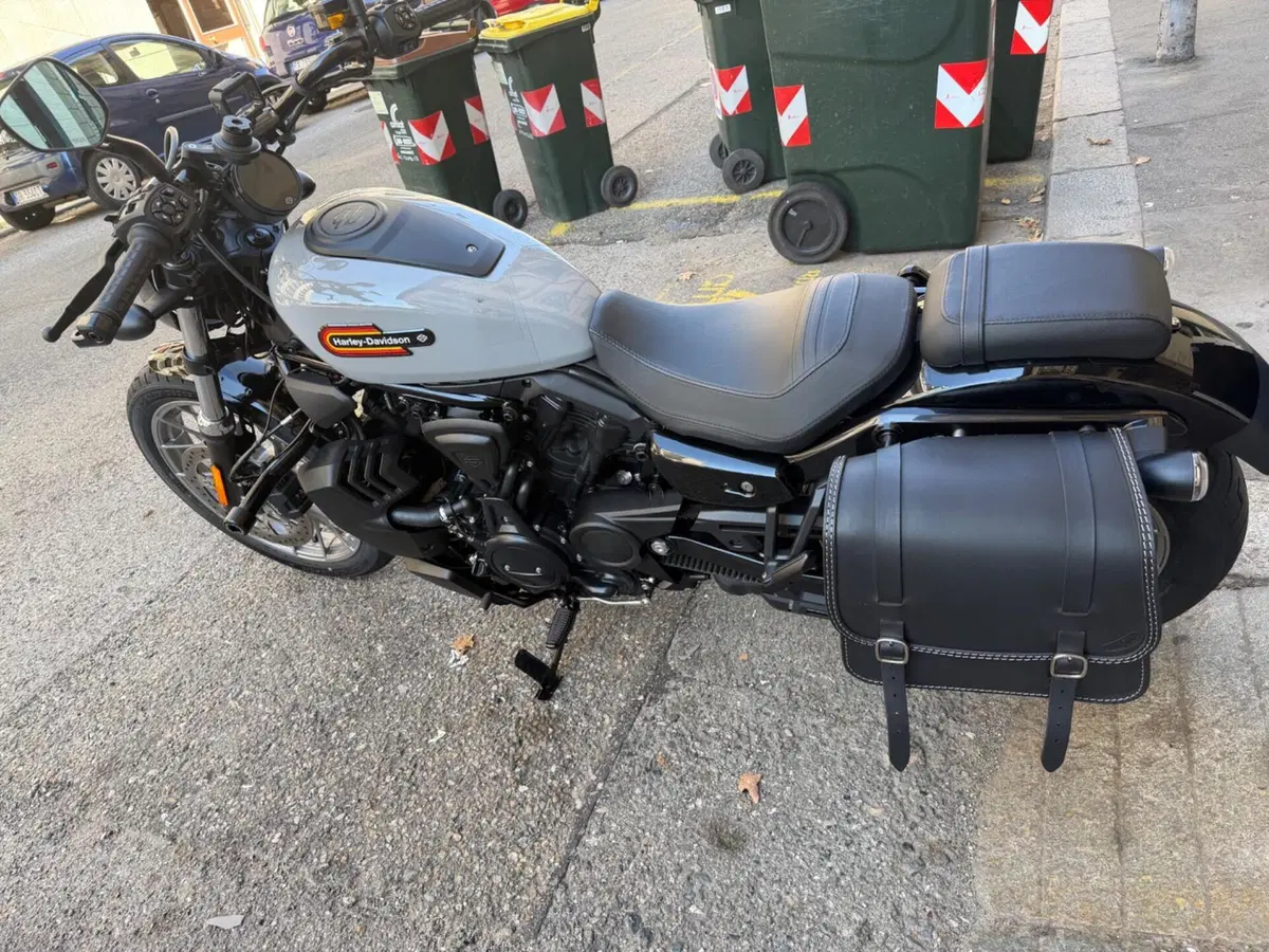 Harley-Davidson Nightster Special (2023 - 26) (6)