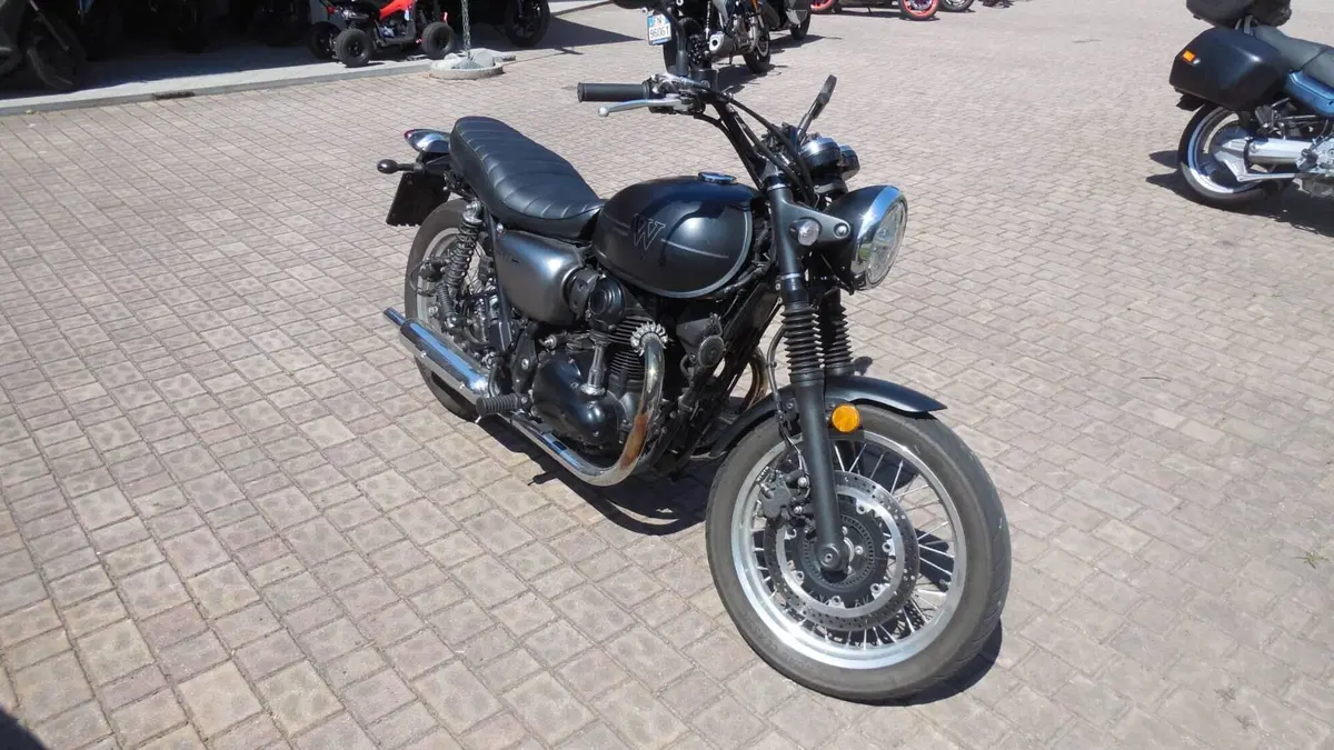 Kawasaki W 800 Street (2019 - 20) (2)