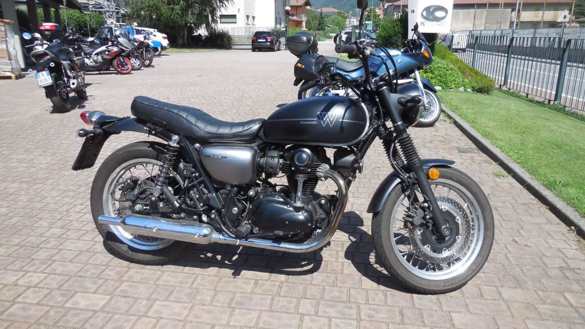 Kawasaki W 800 Street (2019 - 20) (3)