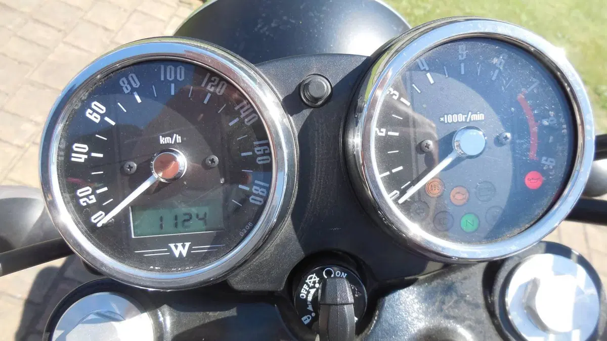 Kawasaki W 800 Street (2019 - 20) (4)