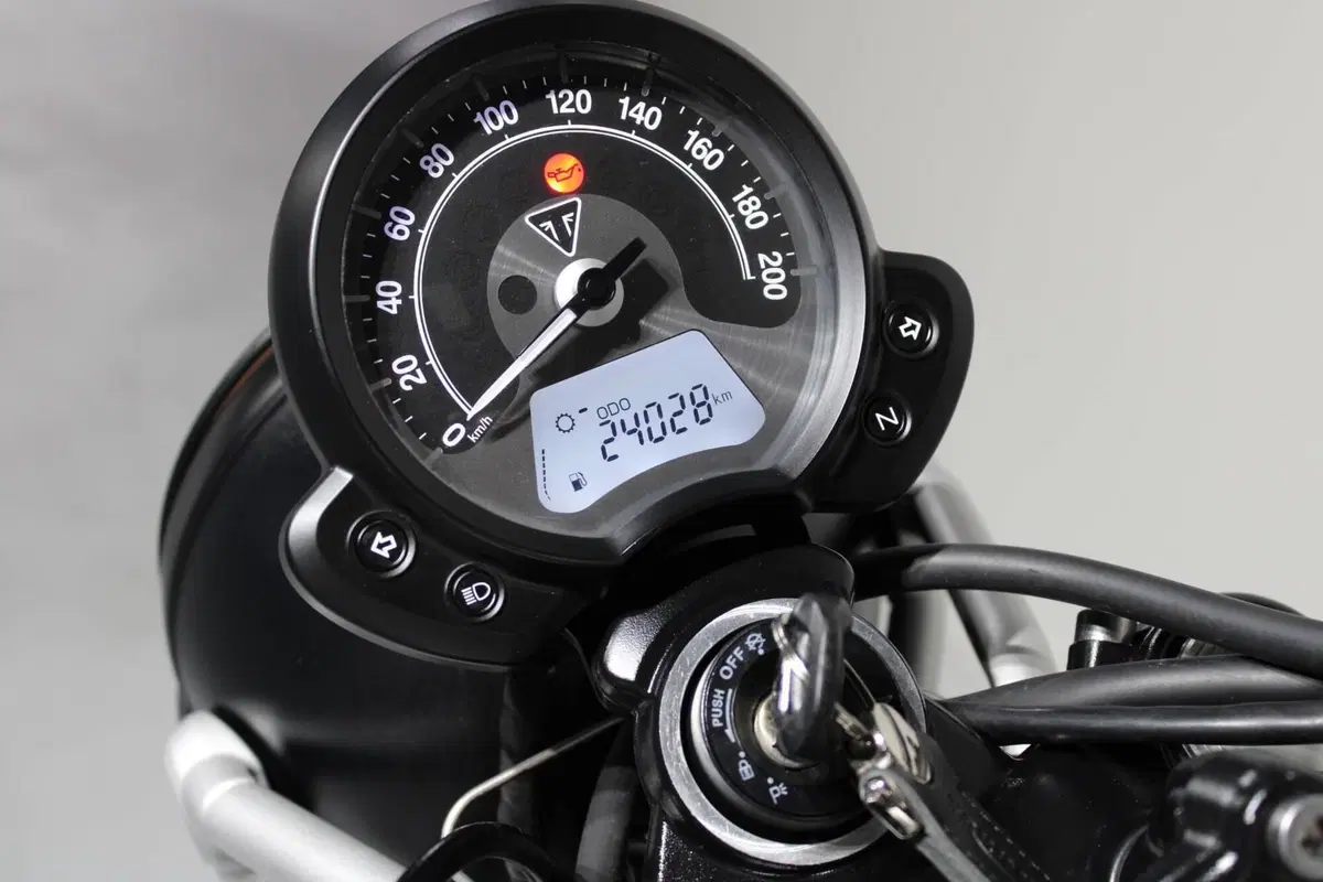Triumph Street Scrambler 900 (2017 - 18) (6)