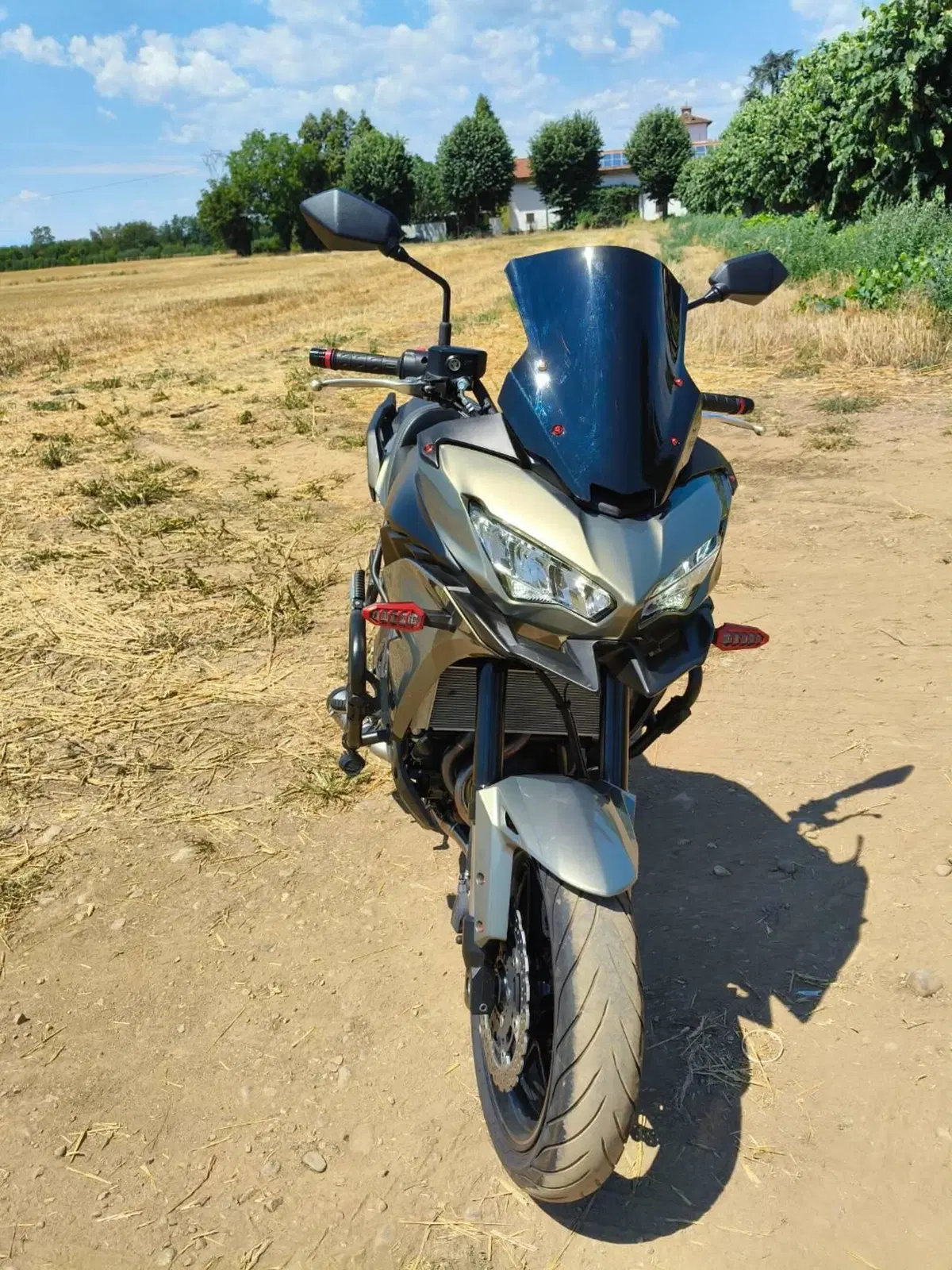 Kawasaki Versys 650 (2021 - 24) (5)