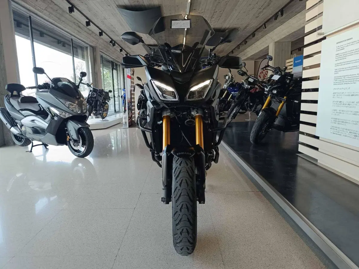Yamaha Tracer 900 ABS (2017 - 18) (2)