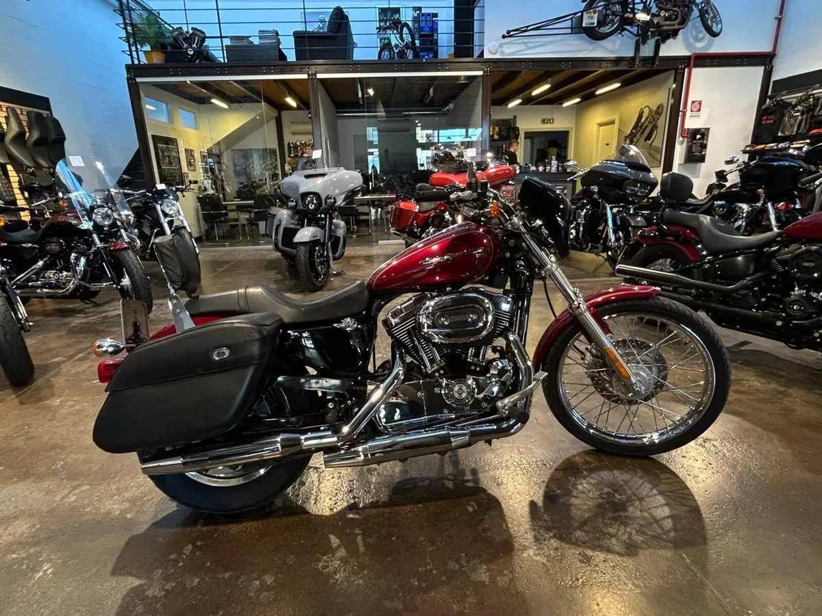 Harley-Davidson 1200 Custom (2004 - 06) - XL 1200C (10)