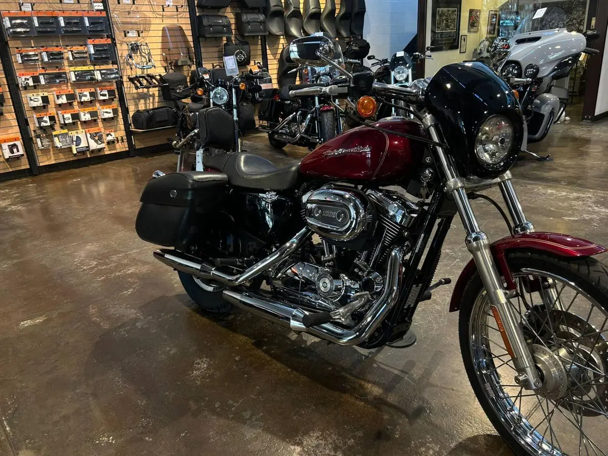 Harley-Davidson 1200 Custom (2004 - 06) - XL 1200C (5)