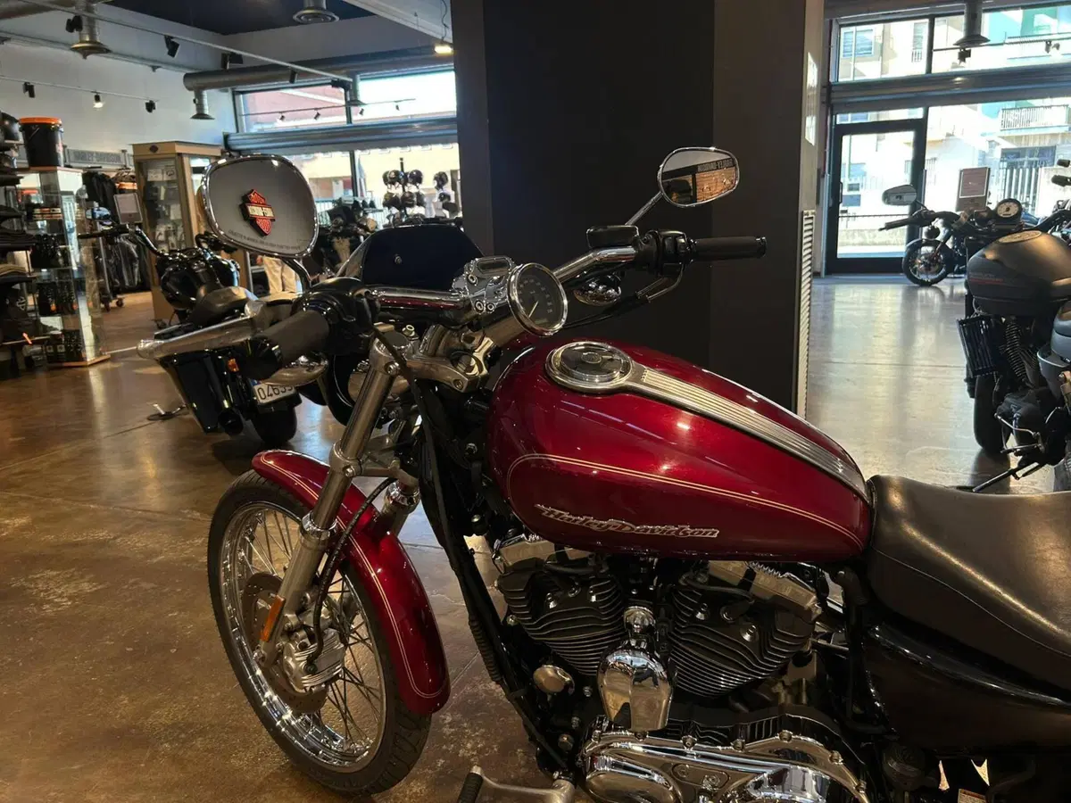 Harley-Davidson 1200 Custom (2004 - 06) - XL 1200C (6)