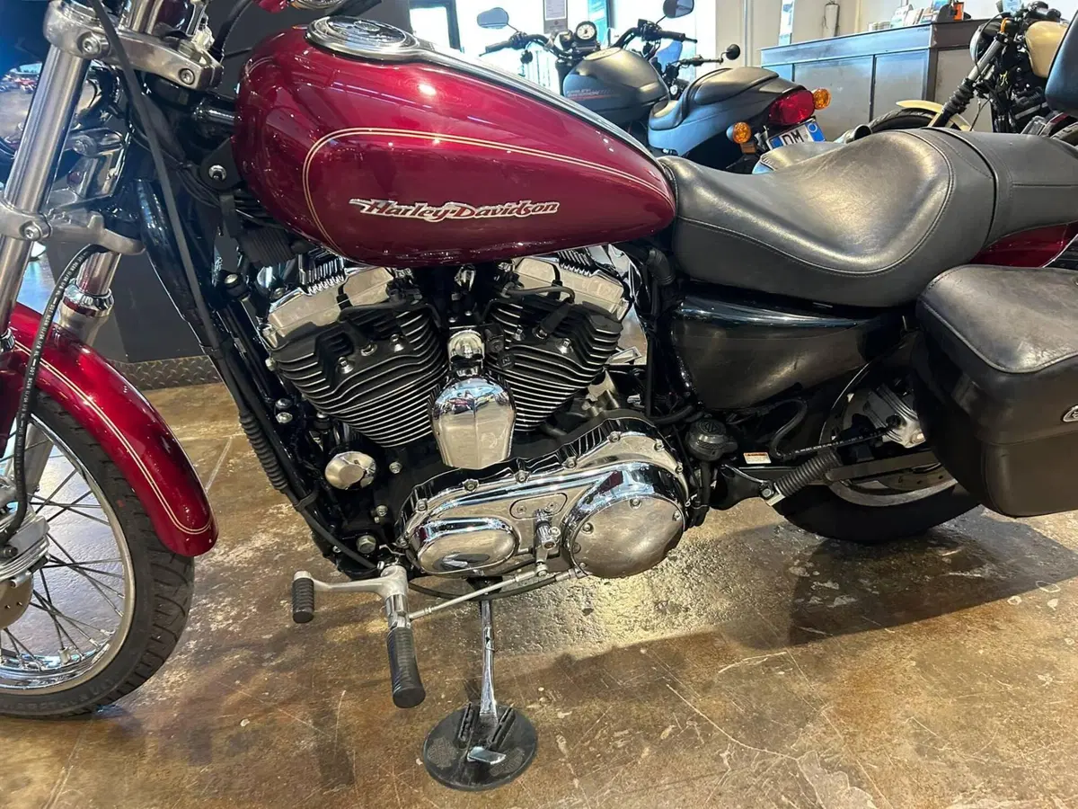 Harley-Davidson 1200 Custom (2004 - 06) - XL 1200C (7)