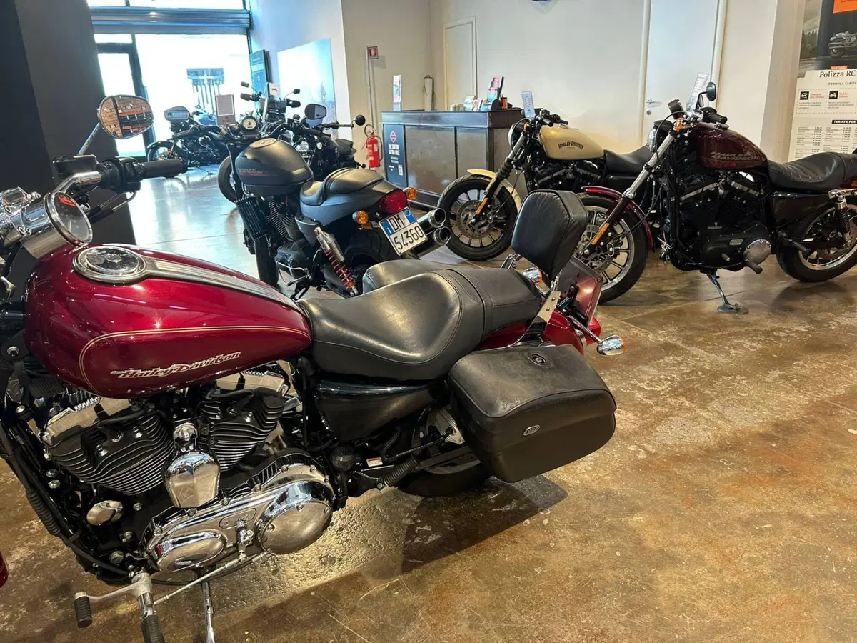 Harley-Davidson 1200 Custom (2004 - 06) - XL 1200C (8)