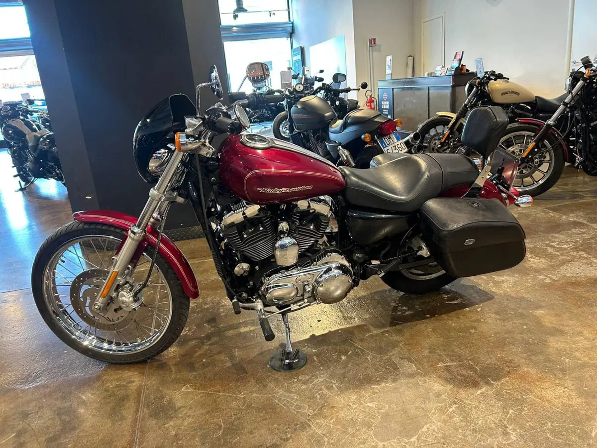 Harley-Davidson 1200 Custom (2004 - 06) - XL 1200C (2)