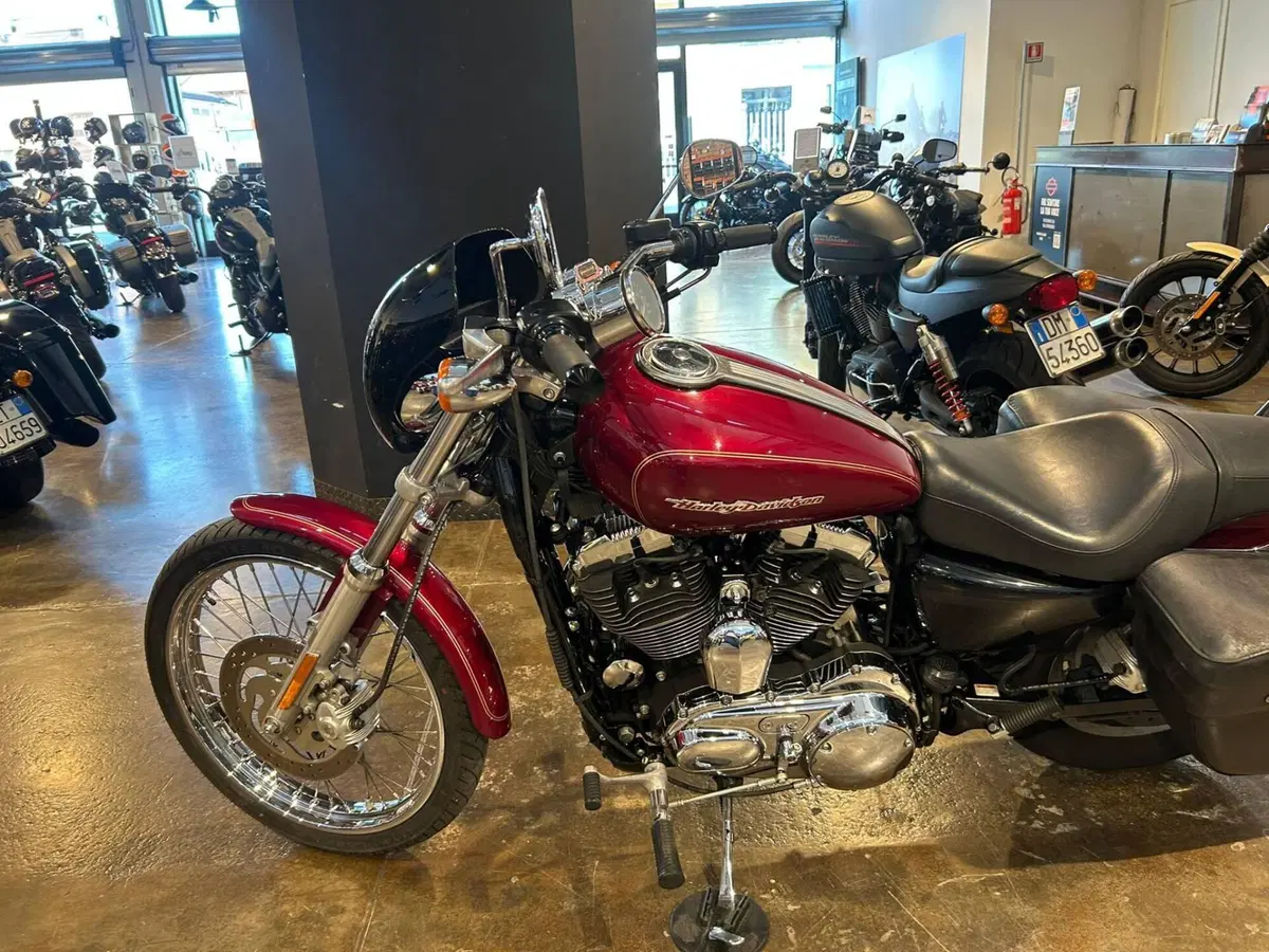 Harley-Davidson 1200 Custom (2004 - 06) - XL 1200C (9)