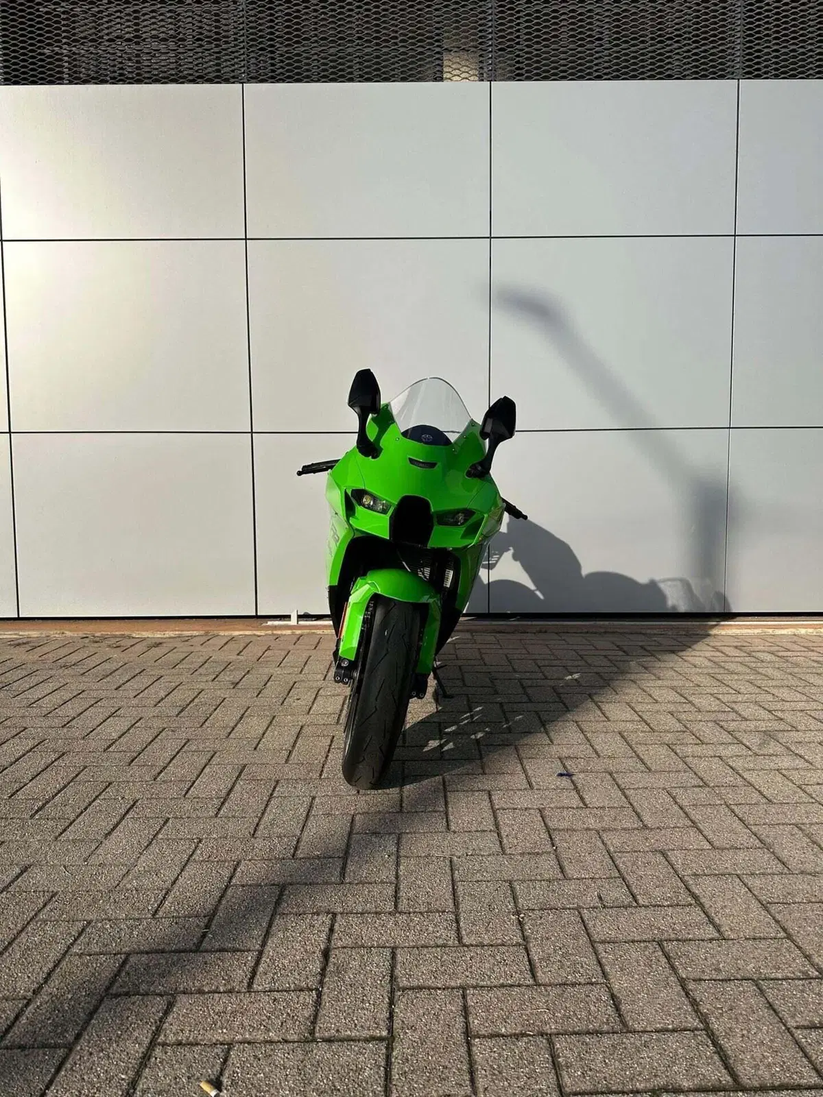 Kawasaki Ninja 1000 ZX-10RR (2021 - 23) (3)