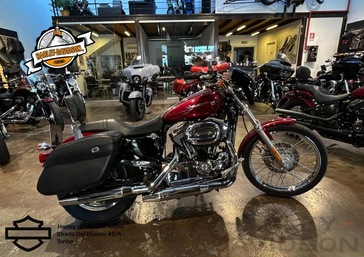 Harley-Davidson 1200 Custom (2004 - 06) - XL 1200C