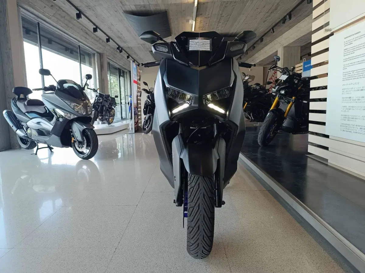 Yamaha X-Max 300 (2021 - 24) (2)