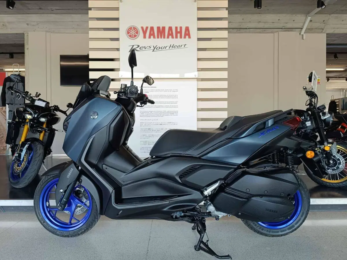 Yamaha X-Max 300 (2021 - 24) (5)