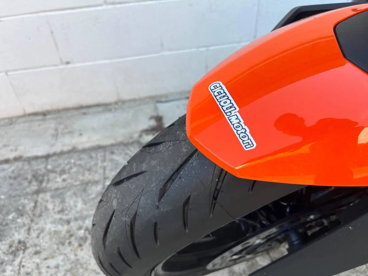 KTM 990 Duke (2024 - 26) (11)