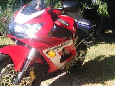 Honda CBR 900 RR Fireblade (2000 - 01) usata