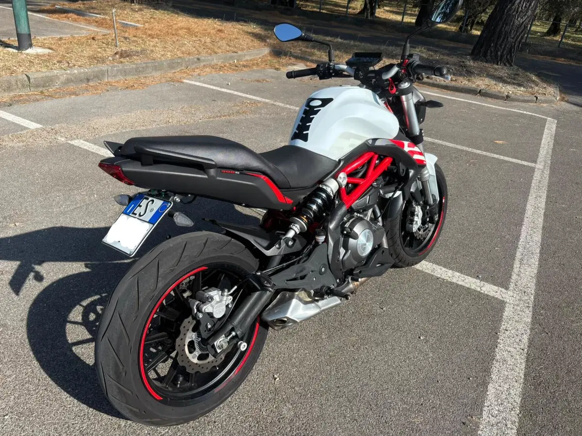 Benelli BN 302 S (2019 - 20) (4)