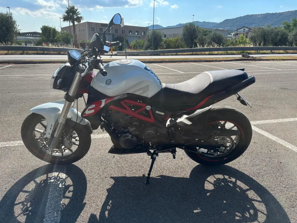 Benelli BN 302 S (2019 - 20) (7)