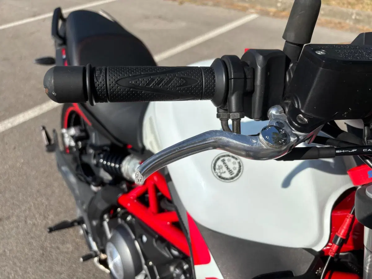 Benelli BN 302 S (2019 - 20) (12)