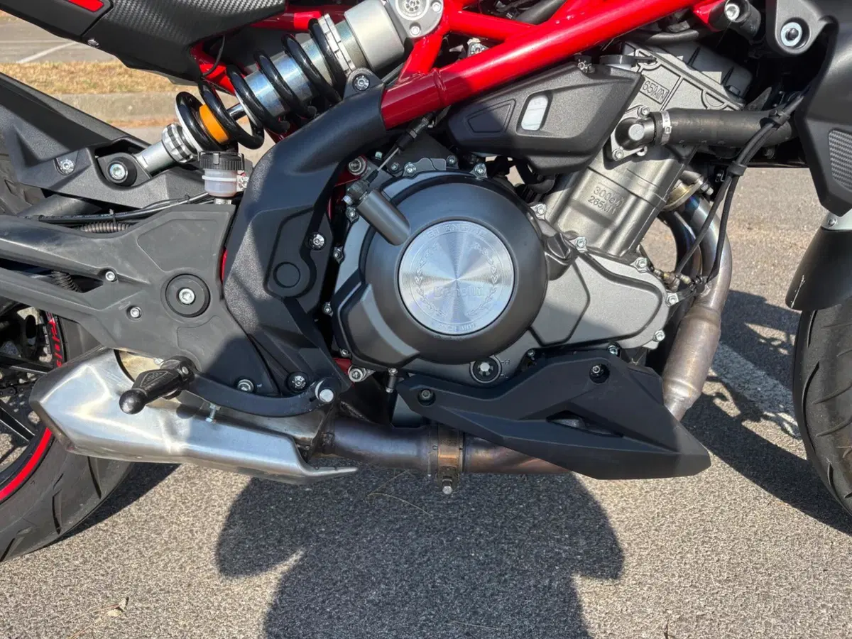 Benelli BN 302 S (2019 - 20) (13)