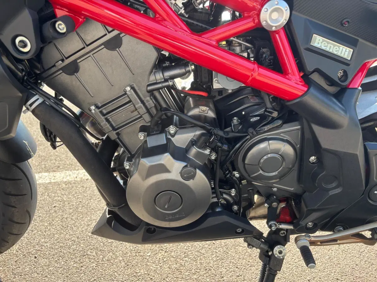 Benelli BN 302 S (2019 - 20) (14)