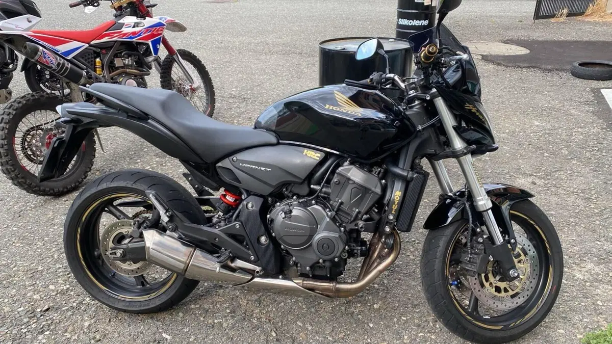 Honda Hornet 600 (2007 - 10) (2)
