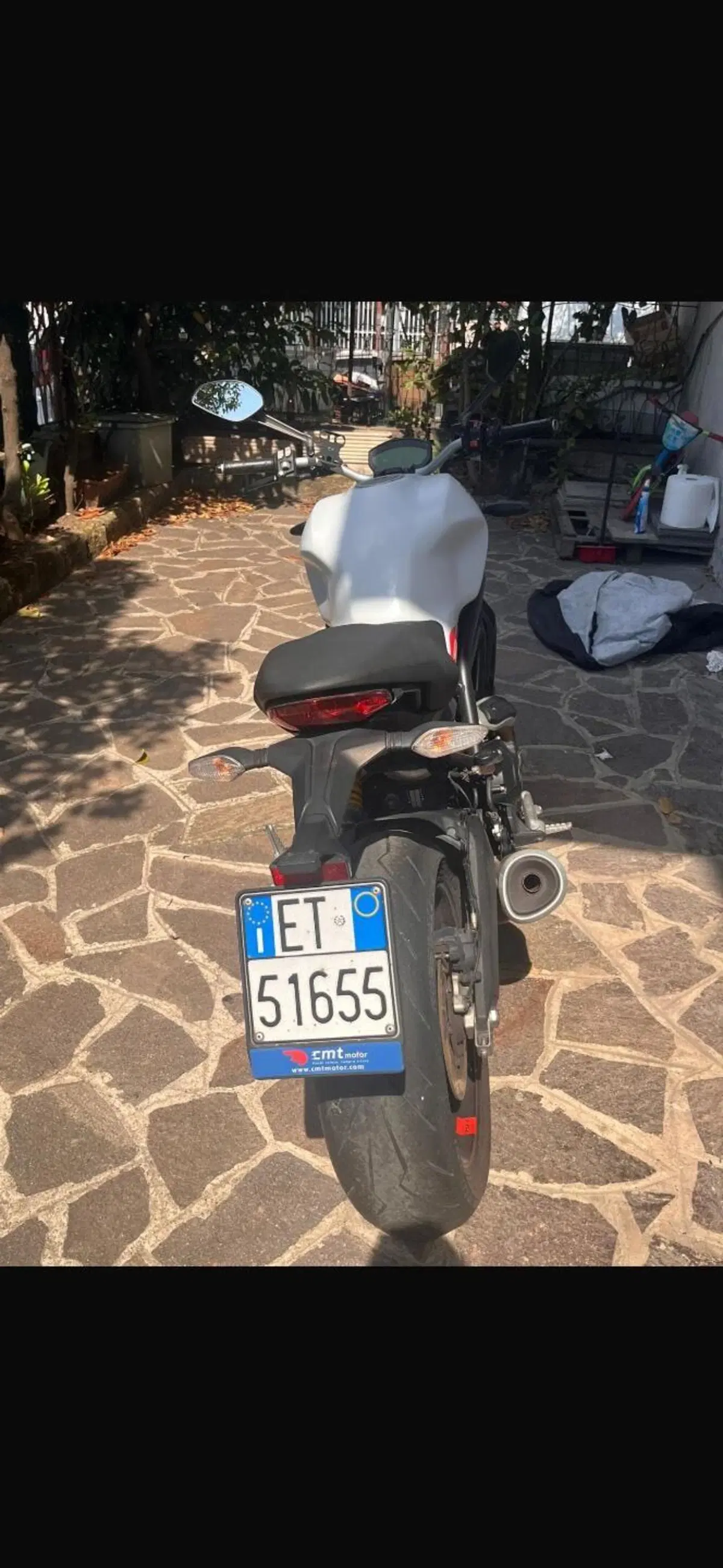 Ducati Monster 797 (2019 - 20) (3)